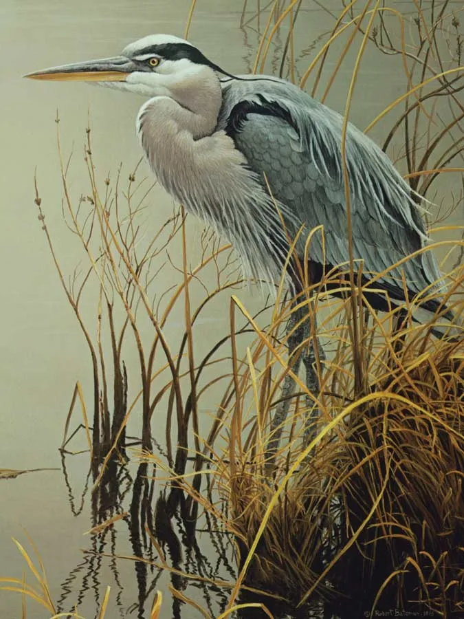 Pièces XXL - Great Blue Heron Pièces XXL - Great Blue Heron