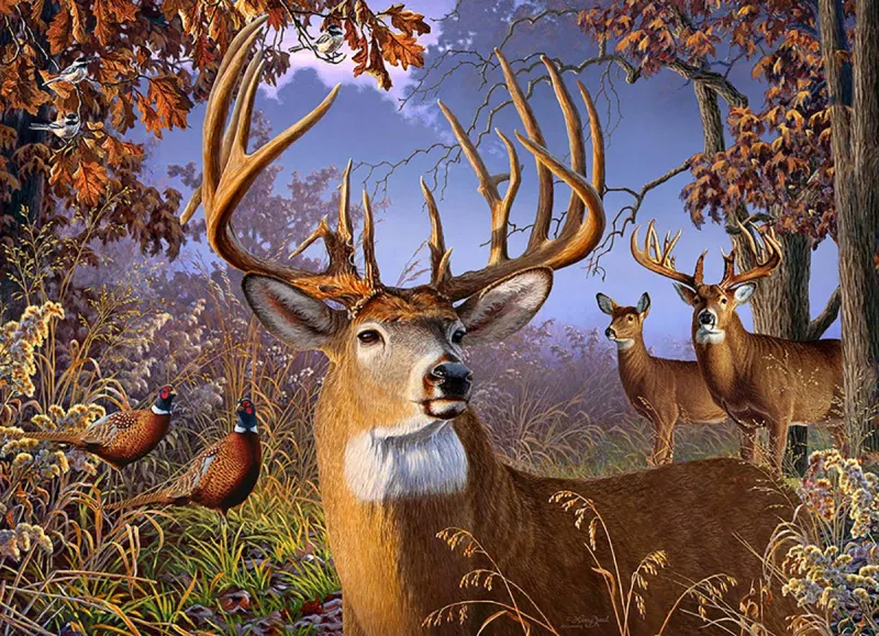 Pièces XXL - Deer and Pheasant Pièces XXL - Deer and Pheasant