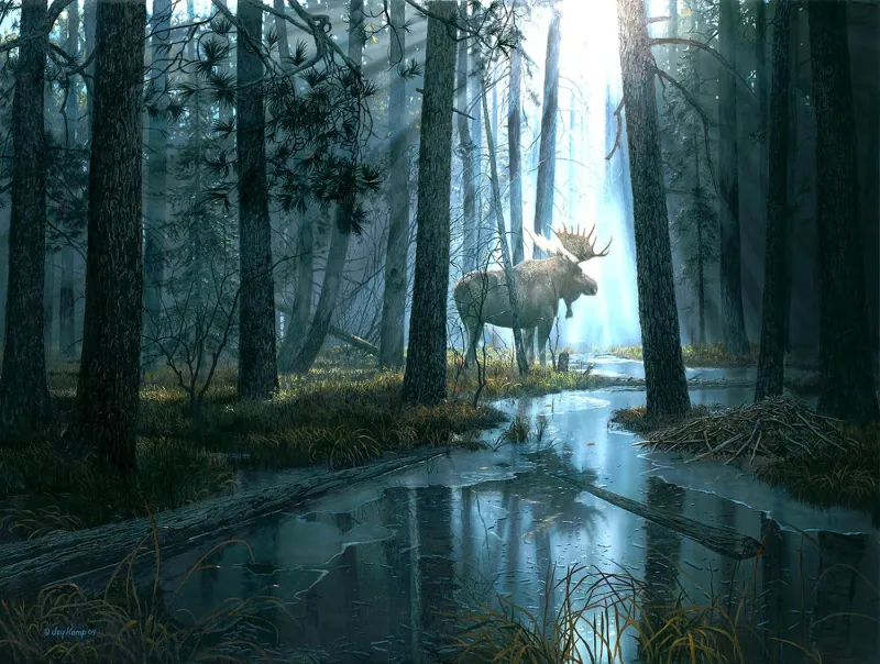 Pièces XXL - Pris Par La Lumière Pièces XXL - Pris Par La Lumière