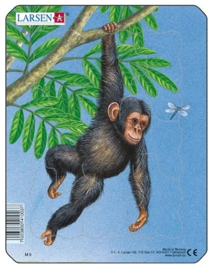 Puzzle Cadre - Petit Singe Puzzle Cadre - Petit Singe