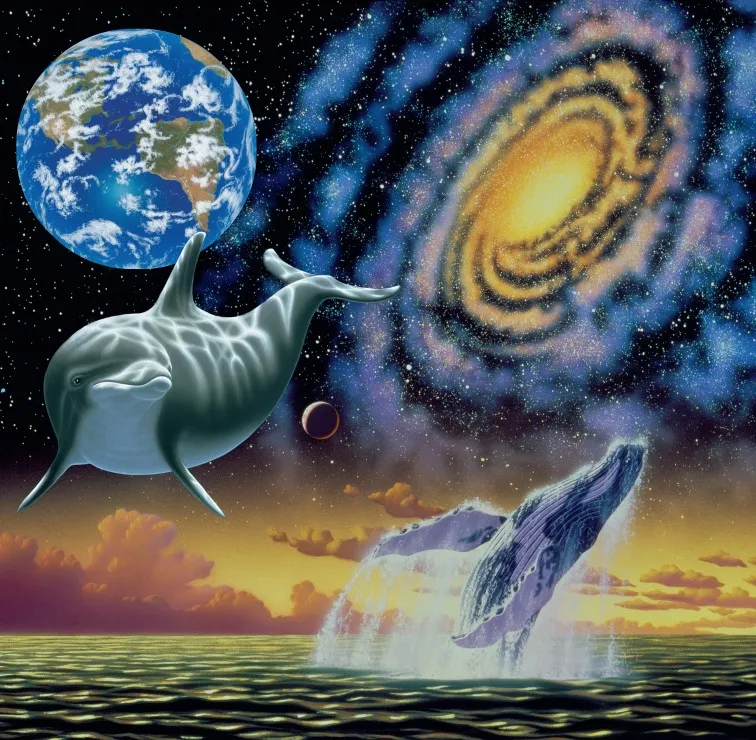 Schim Schimmel - Cosmic Seas Schim Schimmel - Cosmic Seas