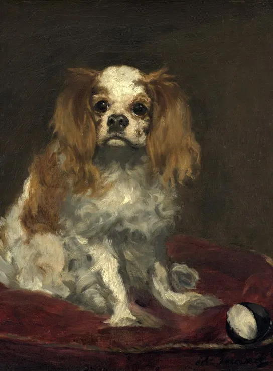 Edouard Manet : Un Cavalier King Charles Spaniel, 1866 Edouard Manet : Un Cavalier King Charles Spaniel, 1866