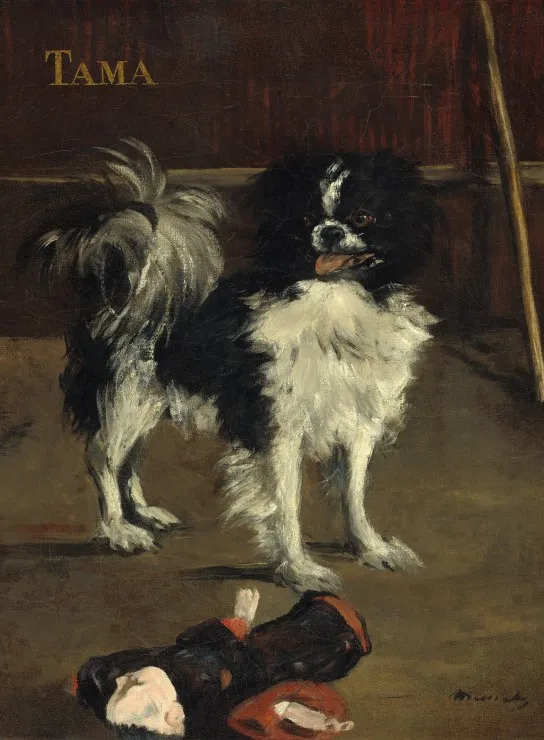 Edouard Manet : Tama : Le Chien Japonais, 1875 Edouard Manet : Tama : Le Chien Japonais, 1875