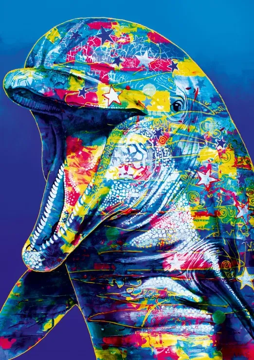 Dolphin Dolphin