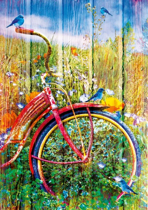 Bluebirds on a Bicycle Bluebirds on a Bicycle