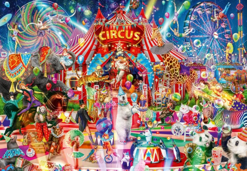 A Night at the Circus A Night at the Circus