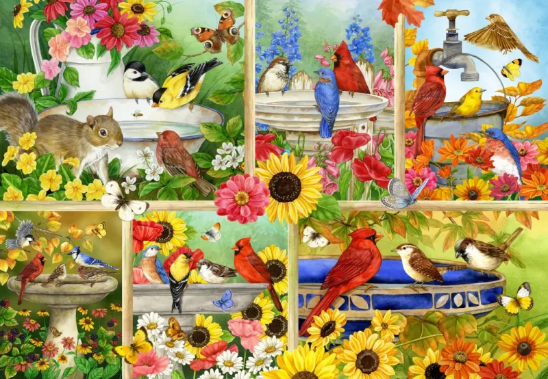 Plumes et Compagnie Plumes et Compagnie