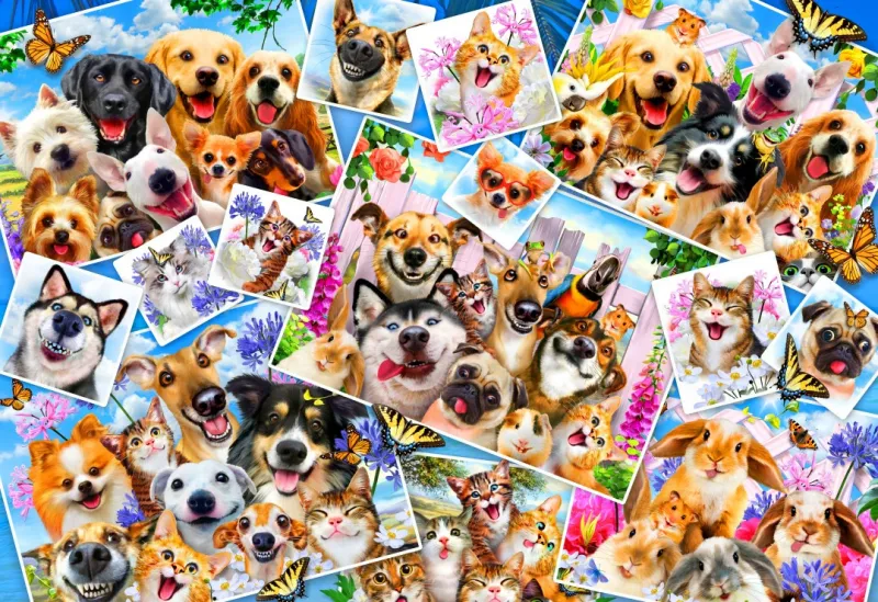 Selfie Pet Collage Selfie Pet Collage