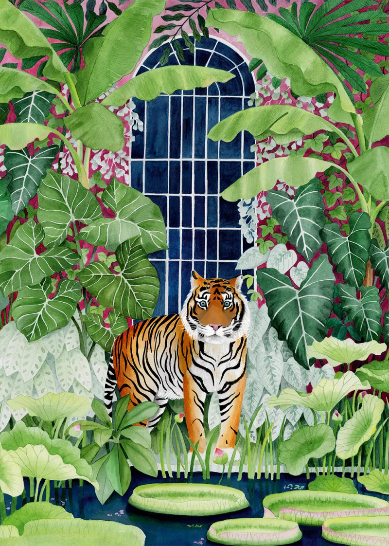 Tigre des Serres Tigre des Serres