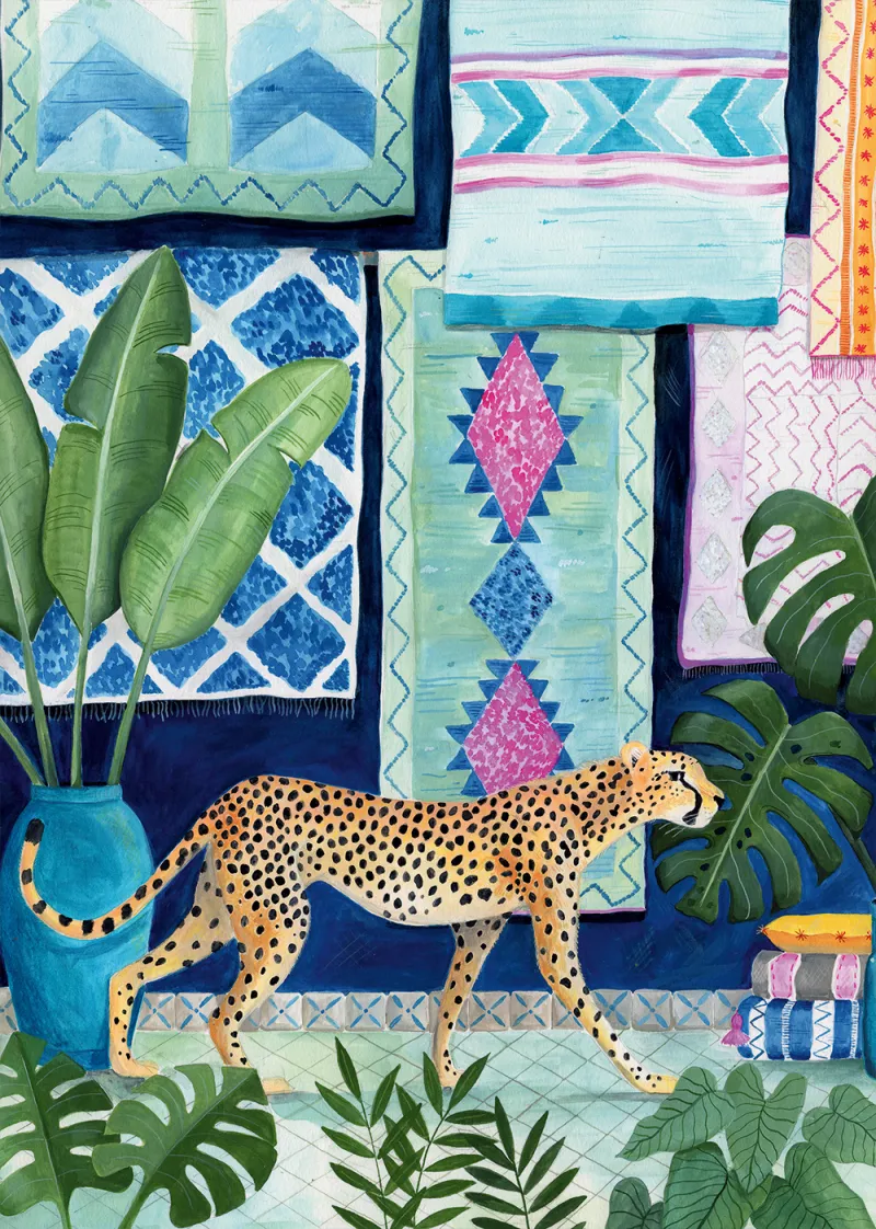 Guépard au Maroc Guépard au Maroc