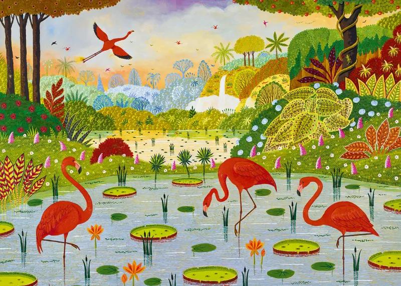 Flamants des Caraïbes Flamants des Caraïbes