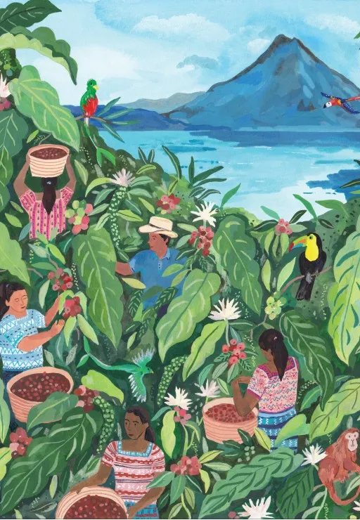 Guatemala Guatemala