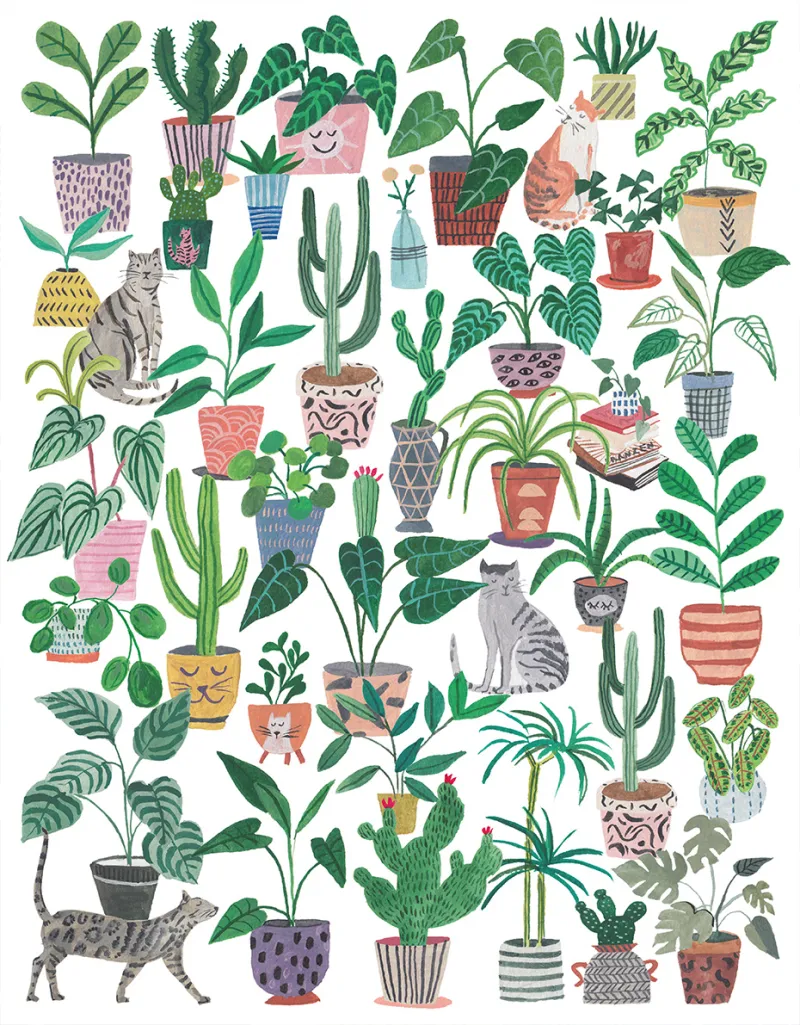 Chats et Plantes Chats et Plantes