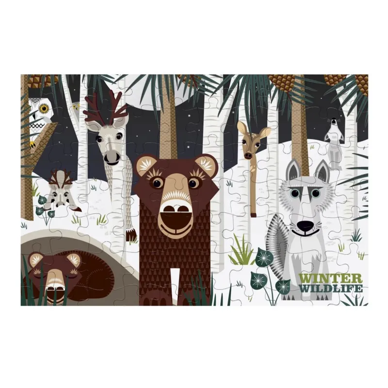 La faune hivernale La faune hivernale