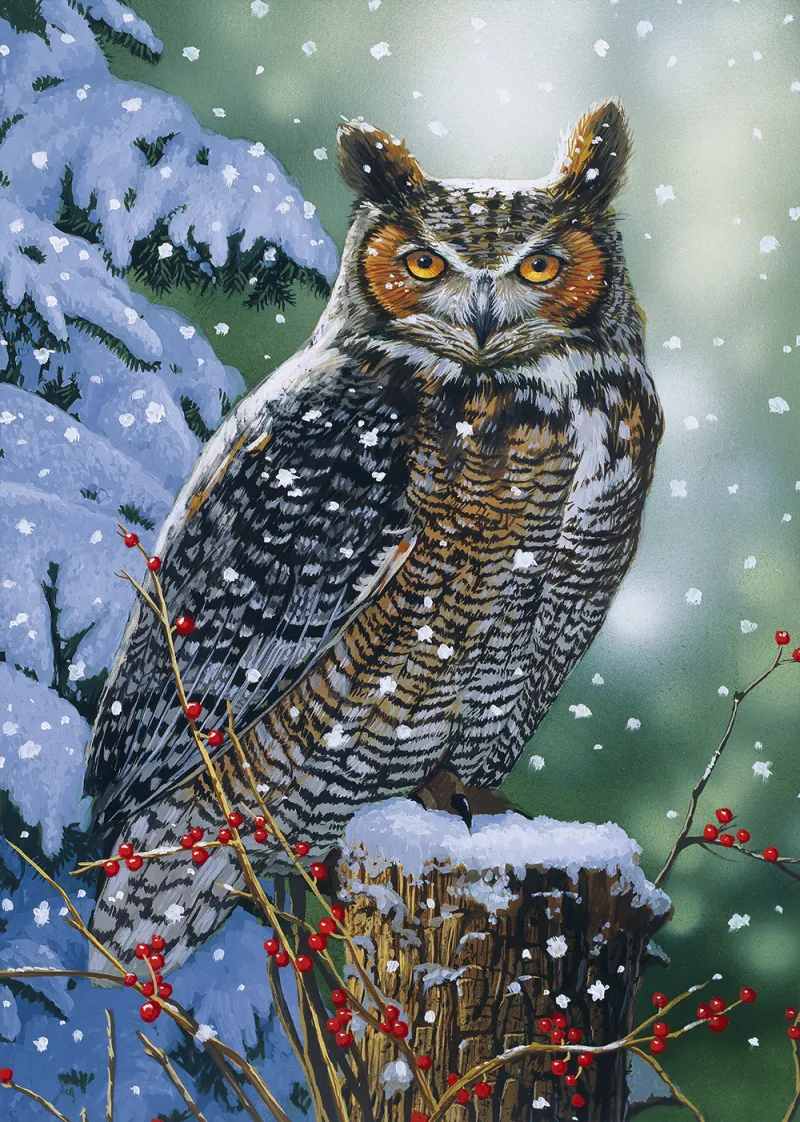 Hibou Silencieux Hibou Silencieux