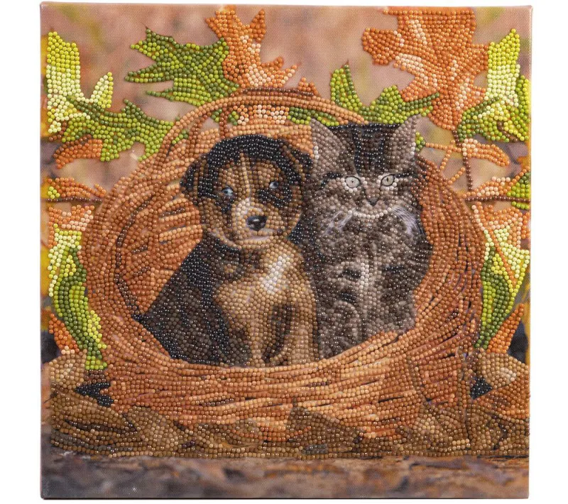 Crystal Art - Kit Broderie Diamant - Chat et Chien Crystal Art - Kit Broderie Diamant - Chat et Chien