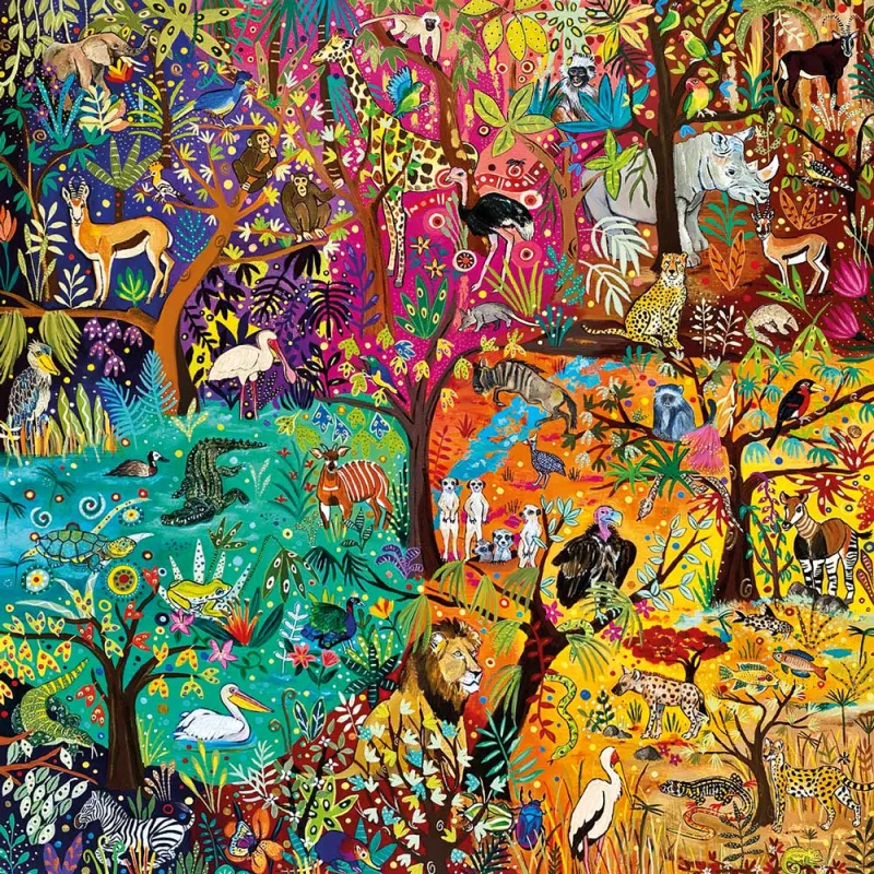 Rainbow Safari Rainbow Safari