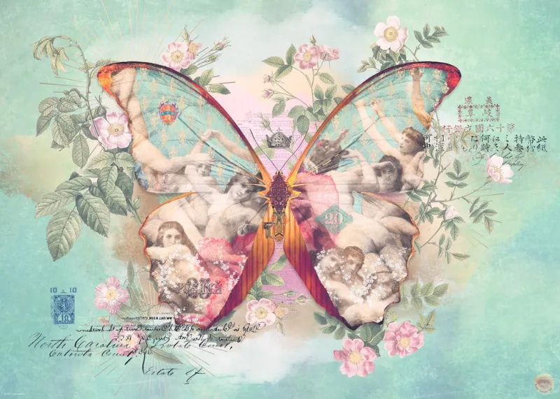 Ailes n°1 Ailes n°1