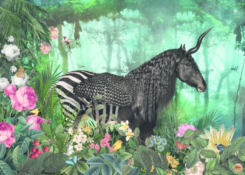 Equpidae Equpidae