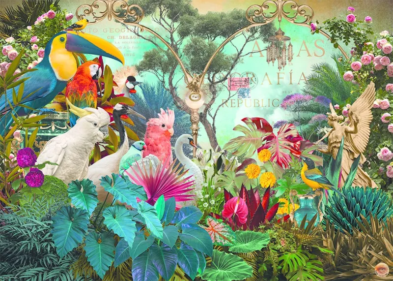 Birddiversity Birddiversity