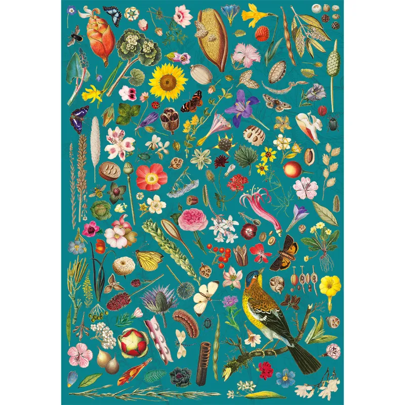 RHS : Fantaisie Florale RHS : Fantaisie Florale