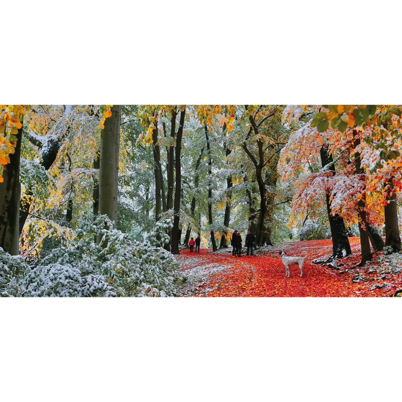 Neige En Automne Neige En Automne