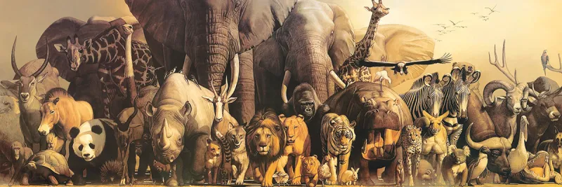 Haruo Takino - Noah's Ark Haruo Takino - Noah's Ark