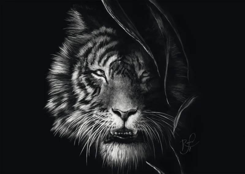 Indompté – Le Tigre : Sous le Signe de la Liberté Indompté – Le Tigre : Sous le Signe de la Liberté