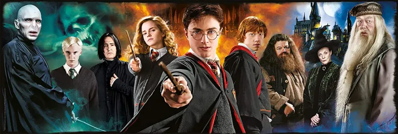Harry Potter Harry Potter