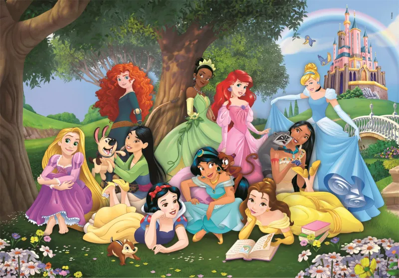 Princesses Disney