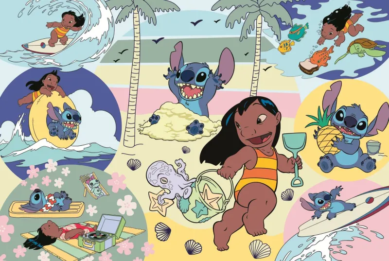 Règles De Mailles - Disney Lilo & Stitch Règles De Mailles - Disney Lilo & Stitch