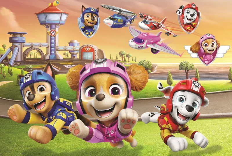 Les Chiens Sont Au Sommet - Viacom Pat'Patrouille Les Chiens Sont Au Sommet - Viacom Pat'Patrouille