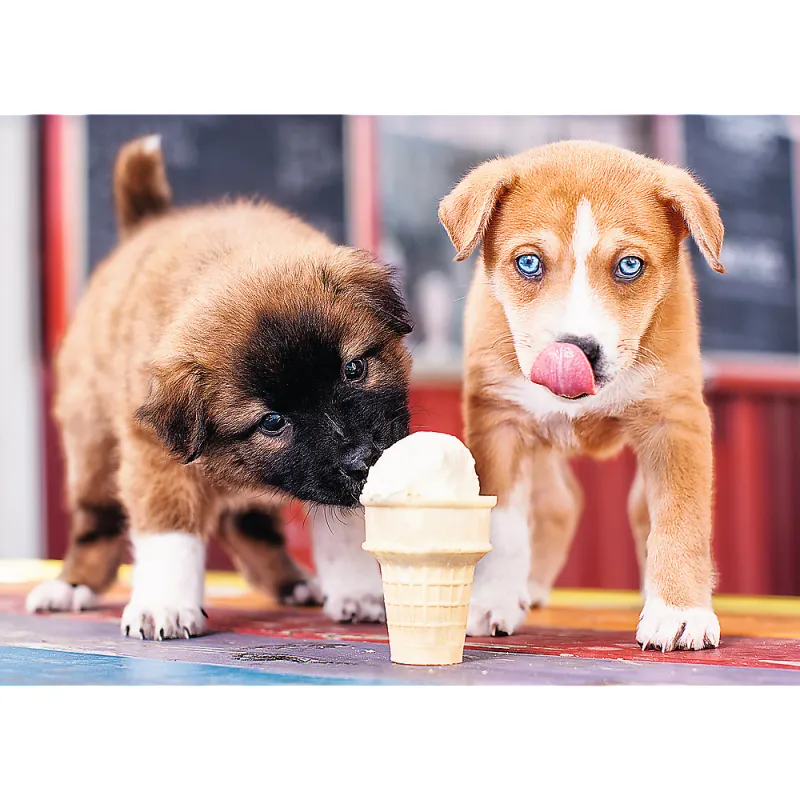 Temps d'une Glace ! Temps d'une Glace !