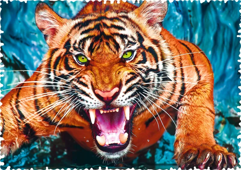 Crazy Shapes - Facing a tiger Crazy Shapes - Facing a tiger