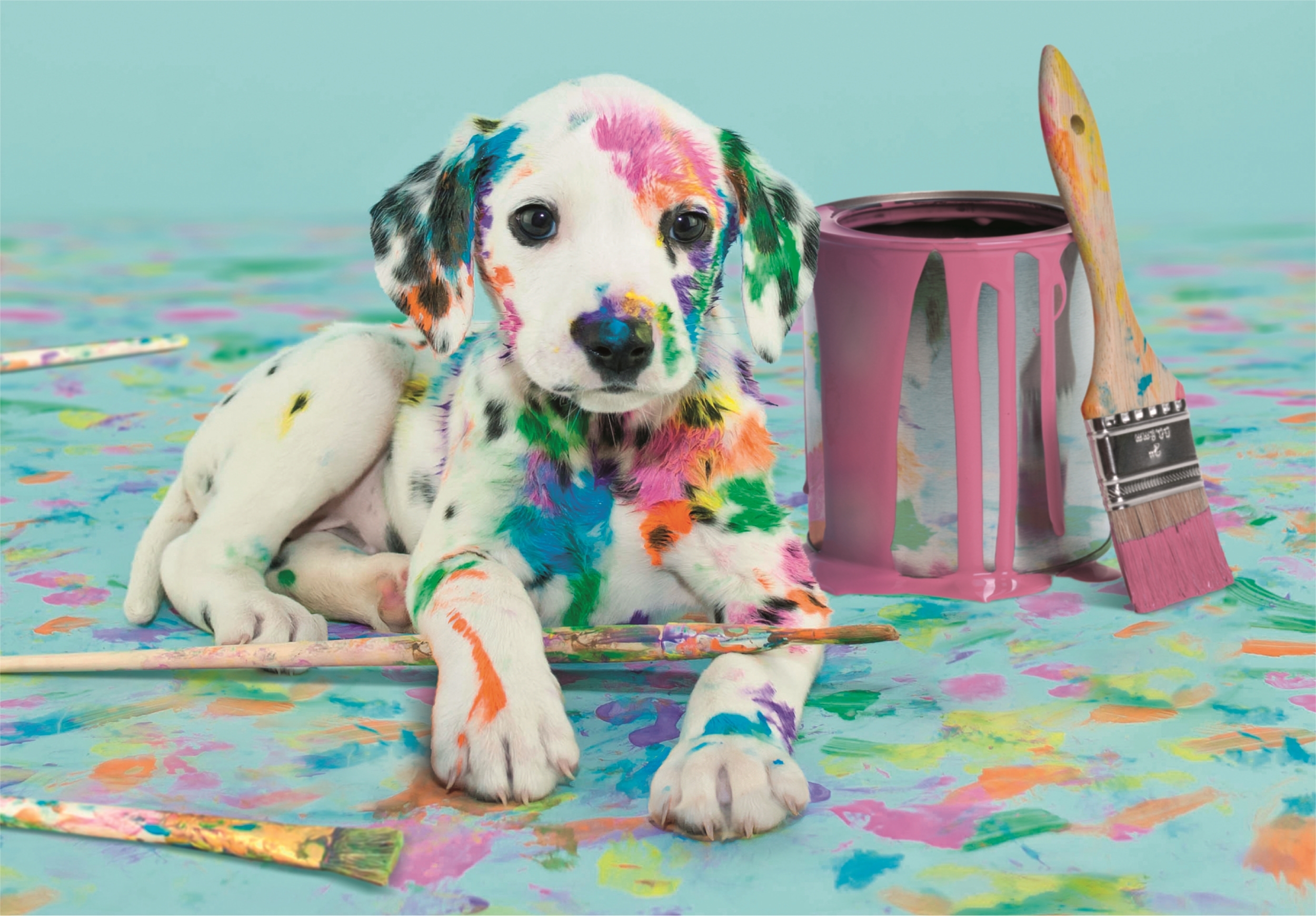 Clementoni – Puzzle Drôle De Dalmatien 500 Pièces – Jeu De Patience Et Réflexion – Format Paysage 49 X 36 Cm – Dès 10 Ans