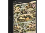 Illustration du Nouveau Larousse Illustré : Reptiles, 1897-1904 Illustration du Nouveau Larousse Illustré : Reptiles, 1897-1904