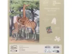 Girafes Girafes